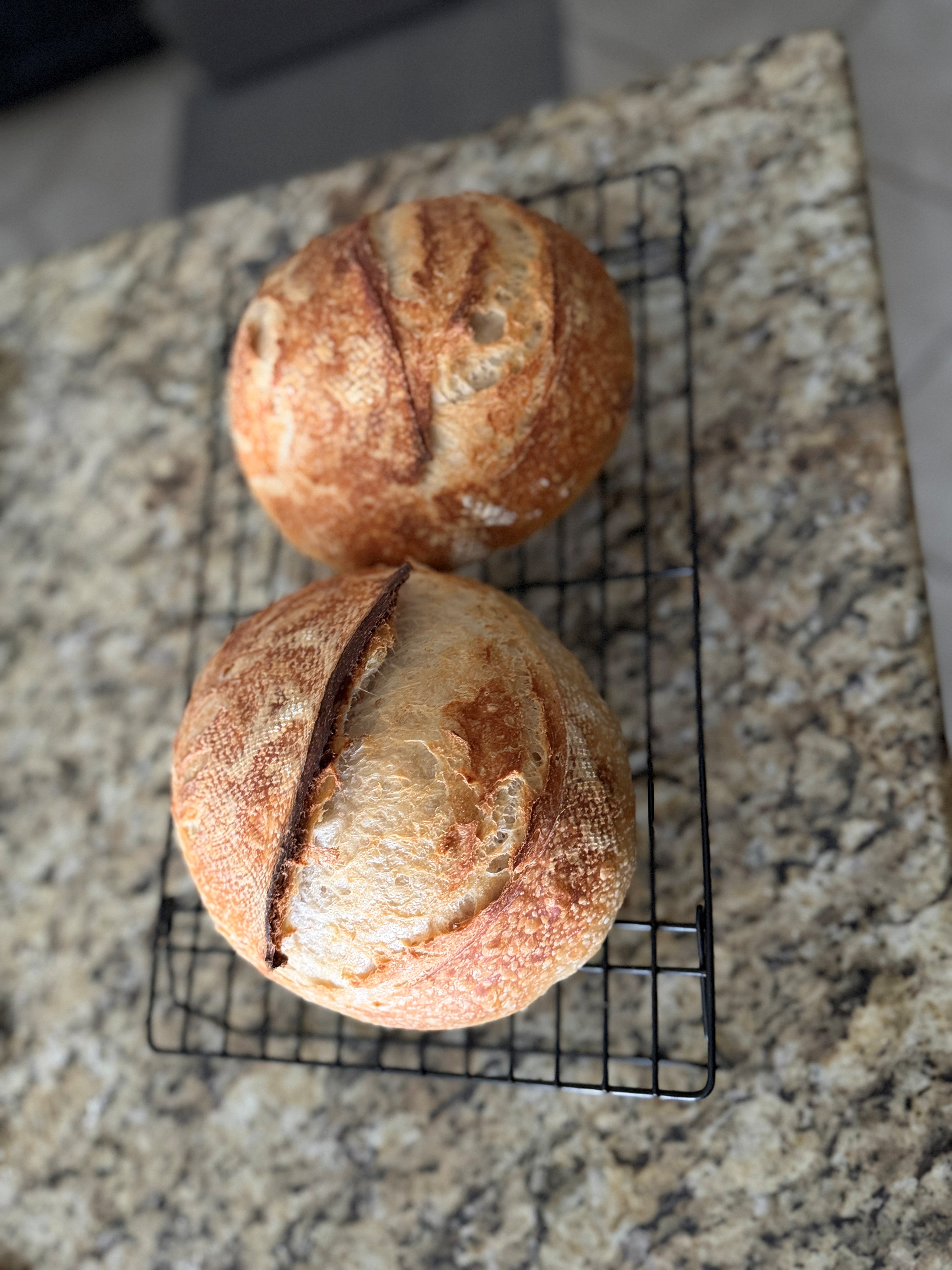 Hand-held sourdough loaf
